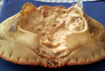 receita fácil de sapateira recheada
